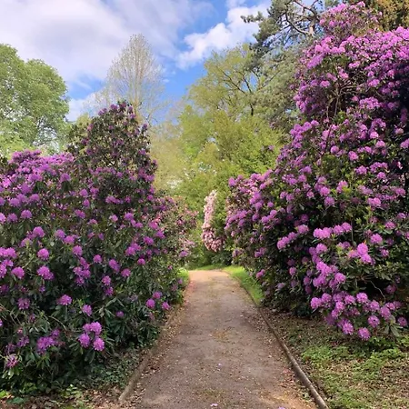Apartament Am Kleinen Baerenstein 01796 Ot Thuermsdorf Thuermsdorfer Str 28