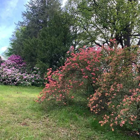 Apartman Am Kleinen Baerenstein 01796 Ot Thuermsdorf Thuermsdorfer Str 28 Struppen