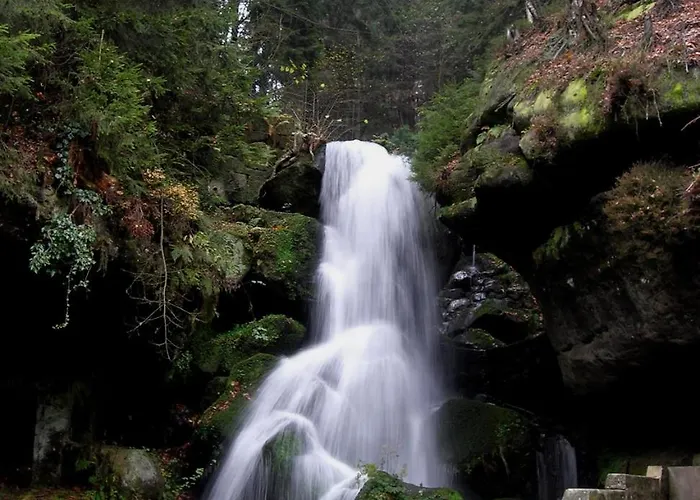 Am Kleinen Baerenstein 01796 Ot Thuermsdorf Thuermsdorfer Str 28 شقة