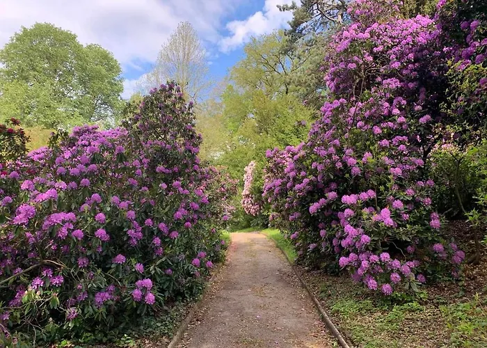 شقة Am Kleinen Baerenstein 01796 Ot Thuermsdorf Thuermsdorfer Str 28